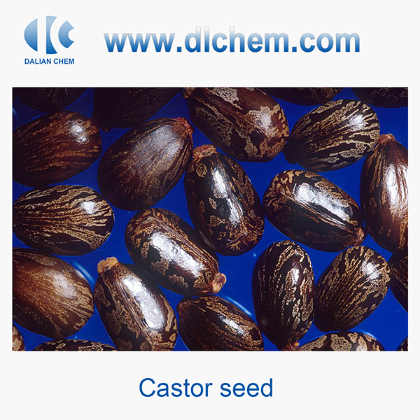 Castor seed