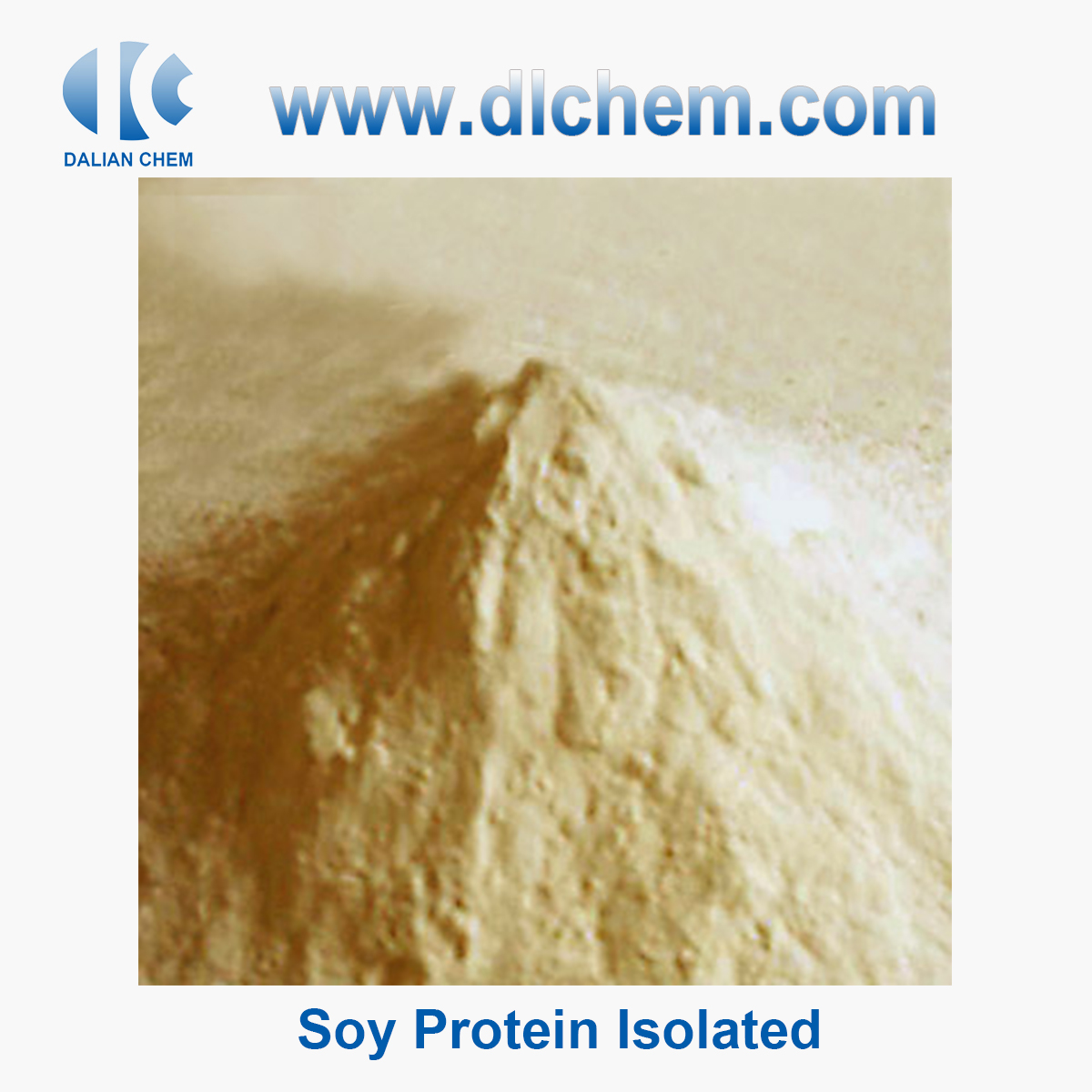 Soy Protein Isolated CAS No.9010-10-0