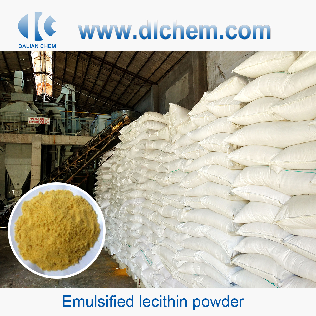 Emulsified lecithin powder