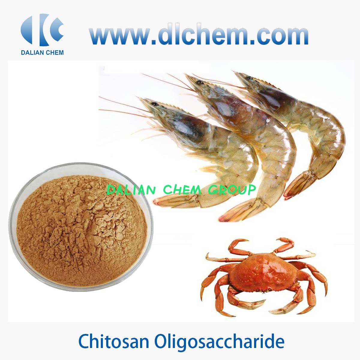 Chitosan Oligosaccharide CAS NO:9012-76-4